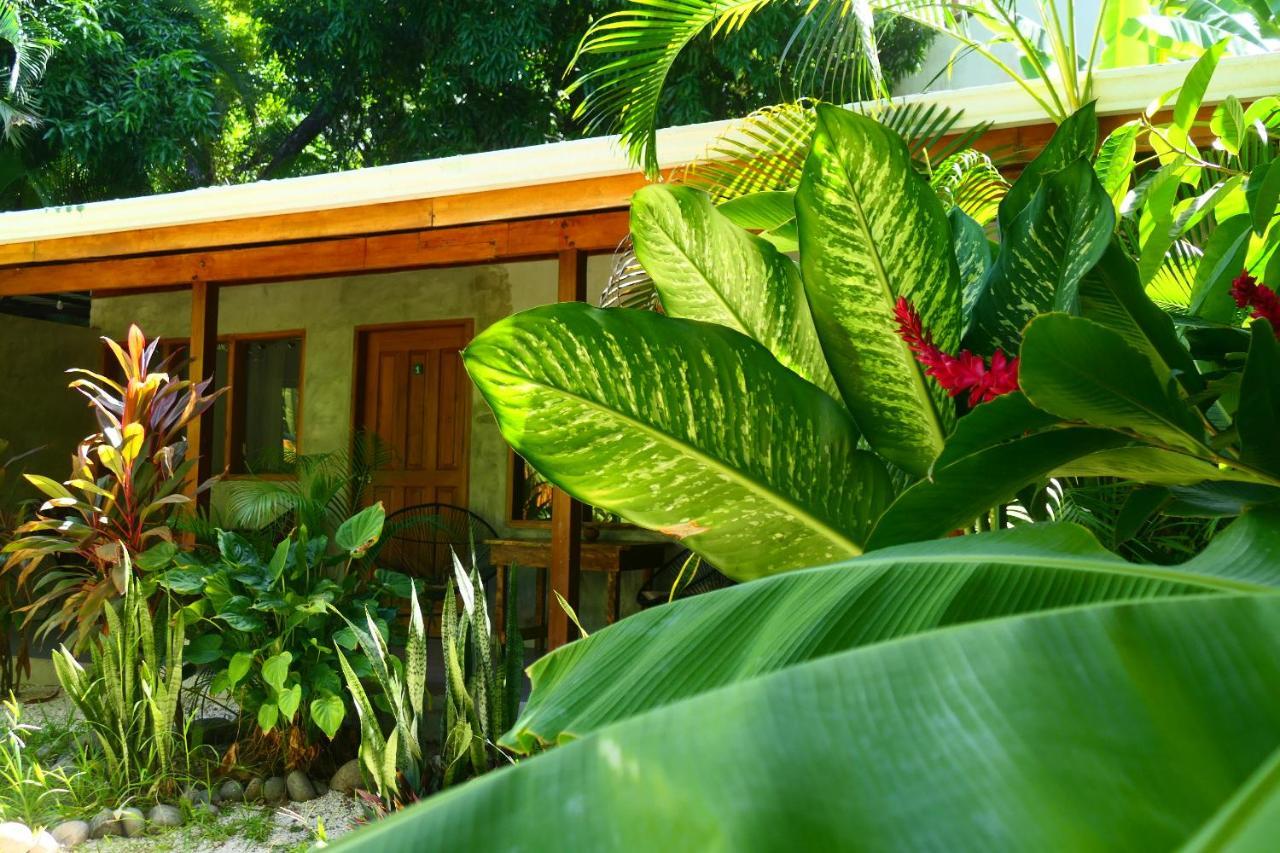 Cabinas Playa Surf Hostel Playa Santa Teresa  Zewnętrze zdjęcie