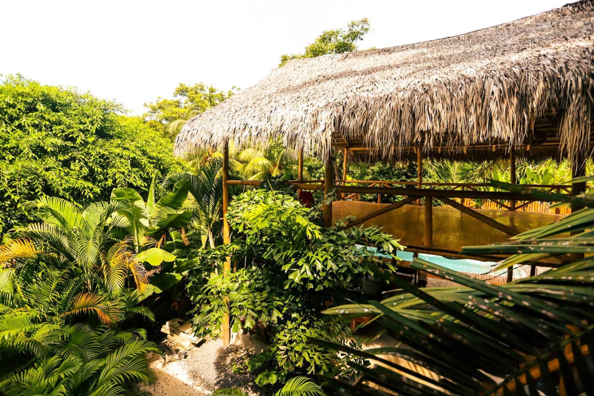 Cabinas Playa Surf Hostel Playa Santa Teresa  Zewnętrze zdjęcie