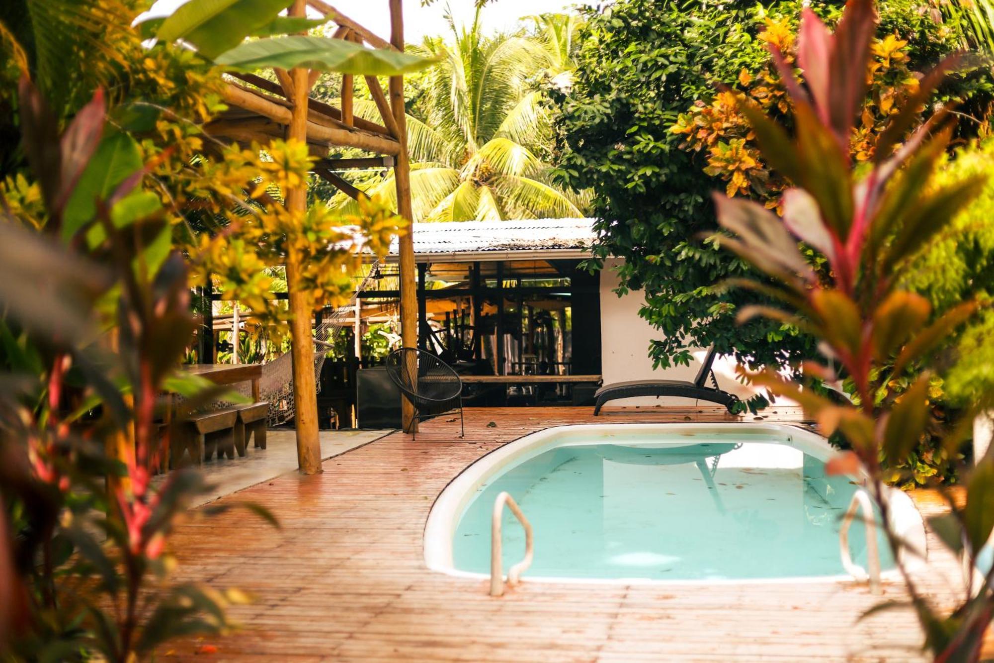 Cabinas Playa Surf Hostel Playa Santa Teresa  Zewnętrze zdjęcie