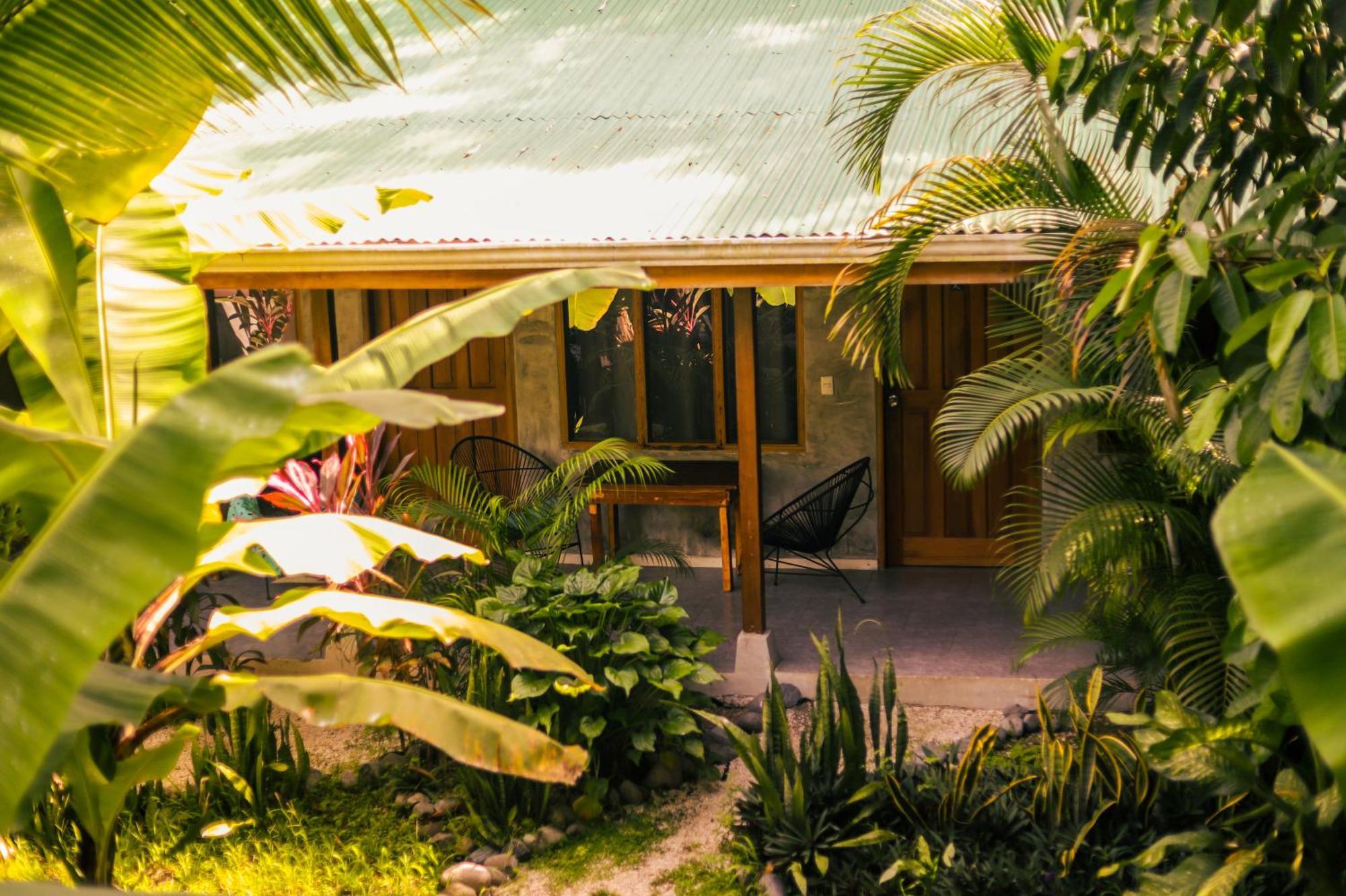 Cabinas Playa Surf Hostel Playa Santa Teresa  Zewnętrze zdjęcie
