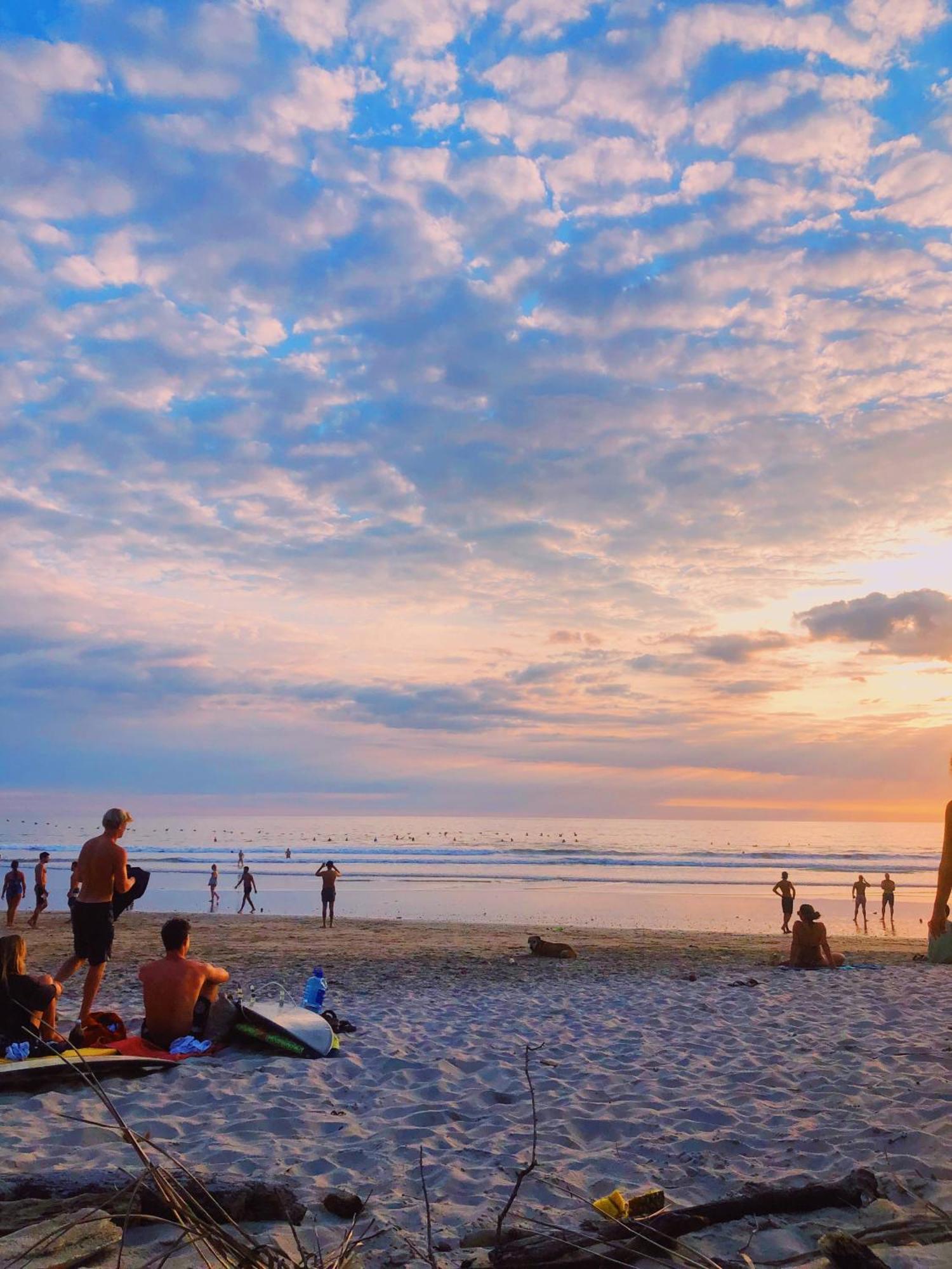 Cabinas Playa Surf Hostel Playa Santa Teresa  Zewnętrze zdjęcie